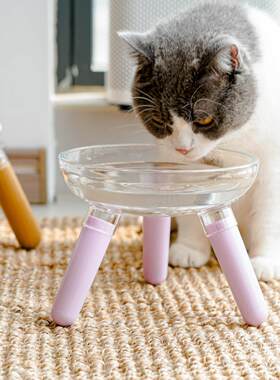 三角支撑碗架实木加高玻璃猫碗增高支架大碗口透明颜值狗碗宠物碗