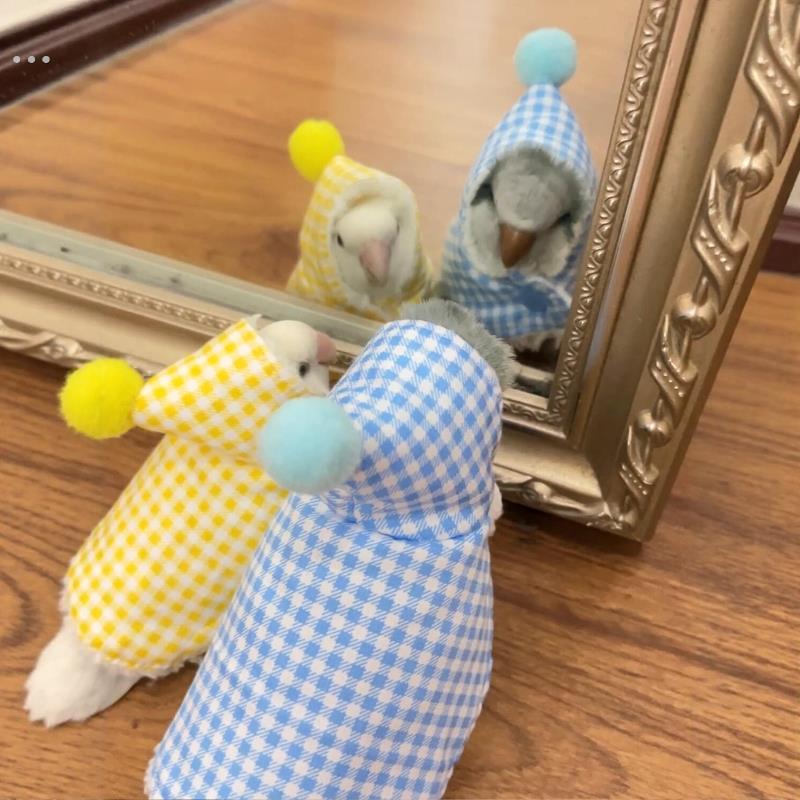 鹦鹉服饰披风斗篷秋冬季小鸟衣服虎皮牡丹玄凤加厚保暖防风外出服