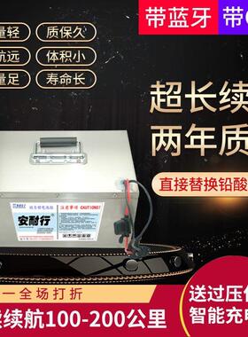 安耐行48V60V72v100Ah大容量三元锂电动汽车新款锂电池老年代步