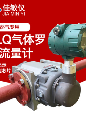LLQ气体罗茨流量计煤气 沼气 液化气G65DN50 EVC天然气腰轮流量计
