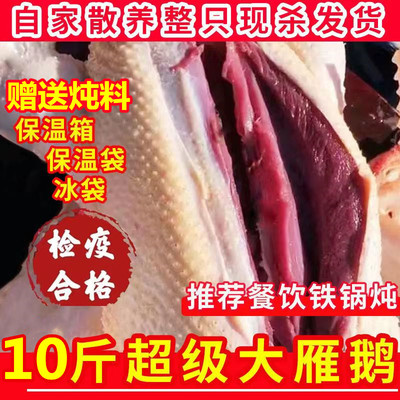 新鲜鹅肉农家散养现杀10斤冷冻
