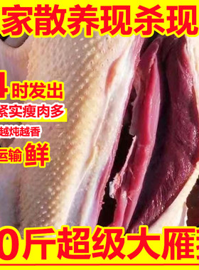 非鹅整只10斤非大鹅新鲜鹅肉大白鹅超大散养非大鹅老鹅雁鹅瘦肉