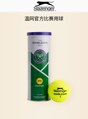 slazenger史莱辛格网球训练球温网单人练习比赛运动用球高弹耐打