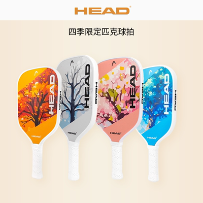 HEAD海德匹克球球碳纤维拍玻璃纤维四季球拍木拍套装皮克球专业