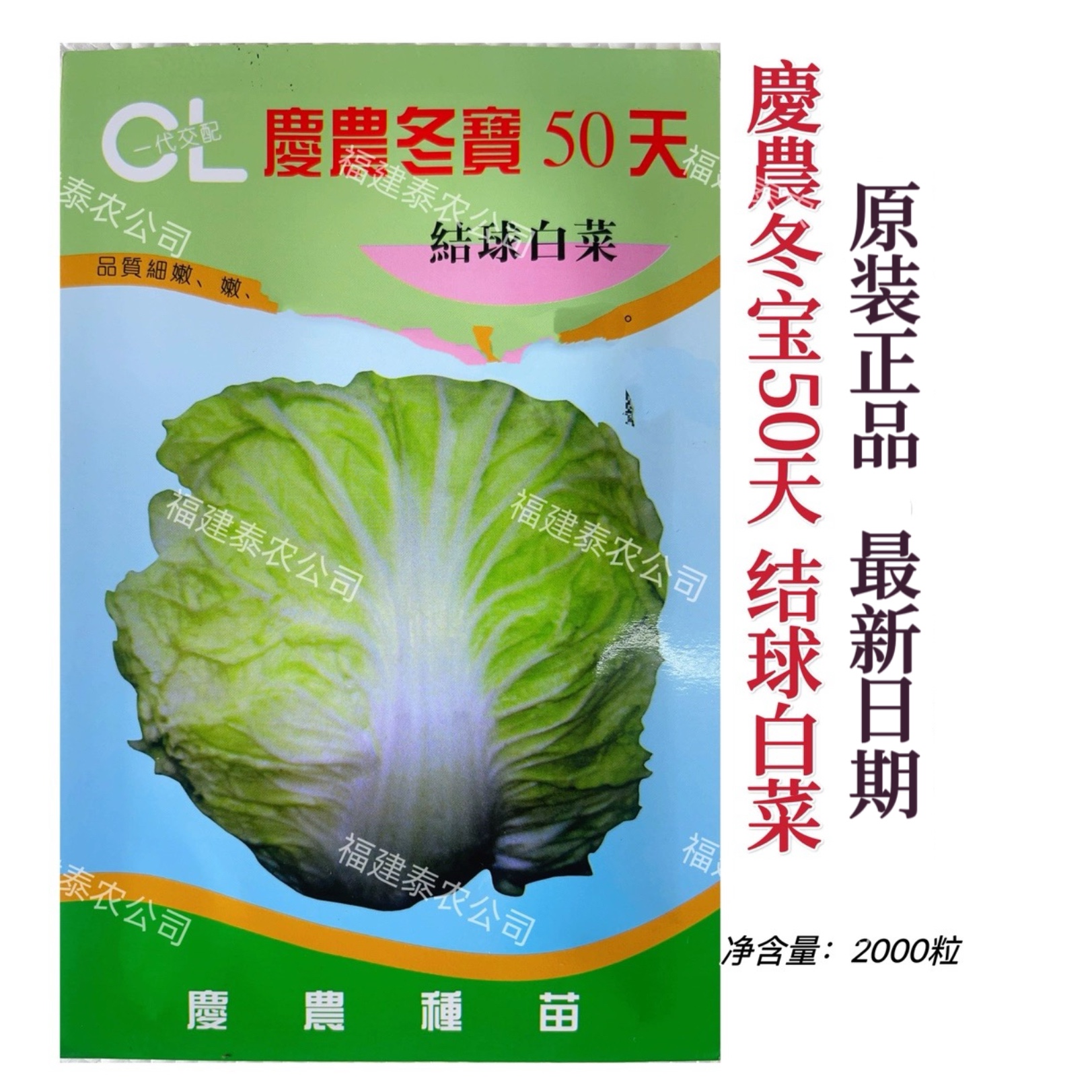 庆农超级冬宝50天结球白菜种子 耐寒耐抽苔 杂交包心结球白菜菜籽