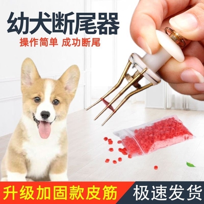 圈尾夹狗耐用断尾去橡皮筋泰迪小狗狗断尾小型包邮段器赠送尾巴圈