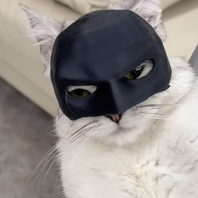 猫咪宠物面具蝙蝠侠装饰半脸COS道具不在是凡猫头盔帅气