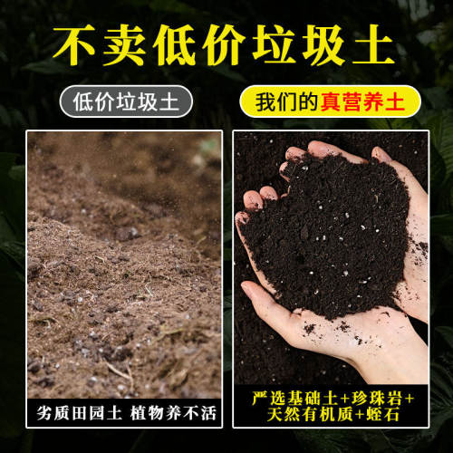 天然腐叶营养土养花种绿植发酵育苗土盆栽有机肥种菜透气增肥疏松