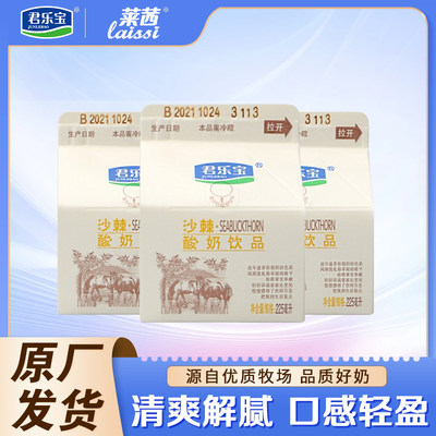 沙棘箱装酸奶饮品君乐宝