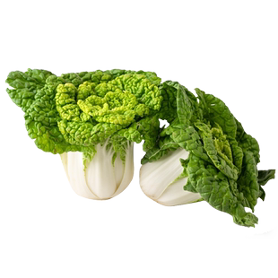 踏雪黄心乌种籽秋冬四季耐寒乌塌菜种子雪里金花嫩白菜乌塔菜种孑