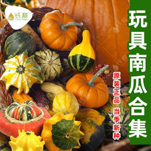 玩具南瓜种子集合巨型南瓜香炉多翅飞碟瓜种籽春秋四季观赏葫芦孑