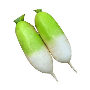 韩国招福青首萝卜种子脆嫩泡菜罗卜种孑春秋四季播蔬菜籽青头萝卜