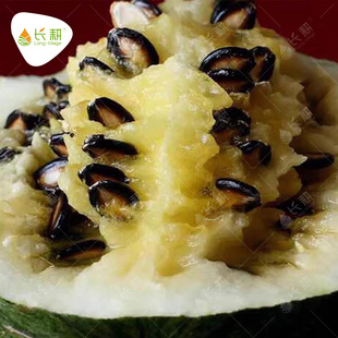四季 黑冠王打瓜種子產(chǎn)子西瓜種籽黃瓤春夏季 陽臺蔬菜水果種孑大全