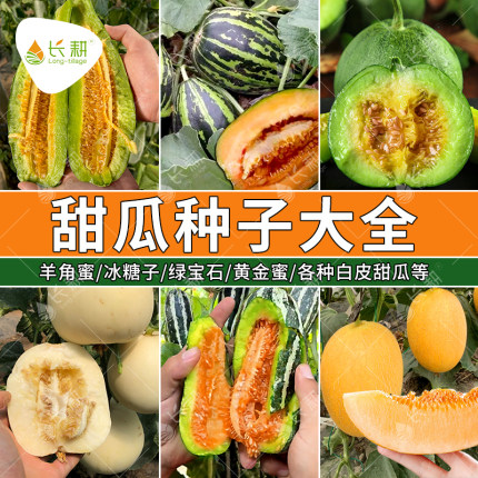 甜瓜种子大全香瓜种孑春秋四季博洋冰糖子羊角蜜绿宝石瓜种籽秧苗