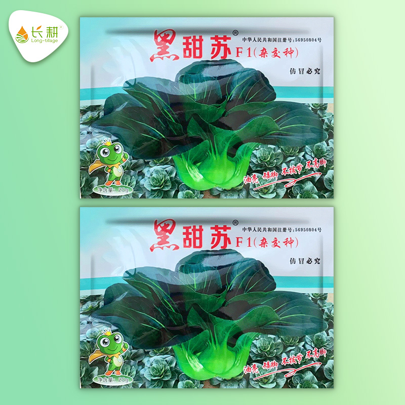 黑叶苏州青种子秋冬播四季耐寒油菜籽种黑甜苏矮脚青种孑蔬菜大全