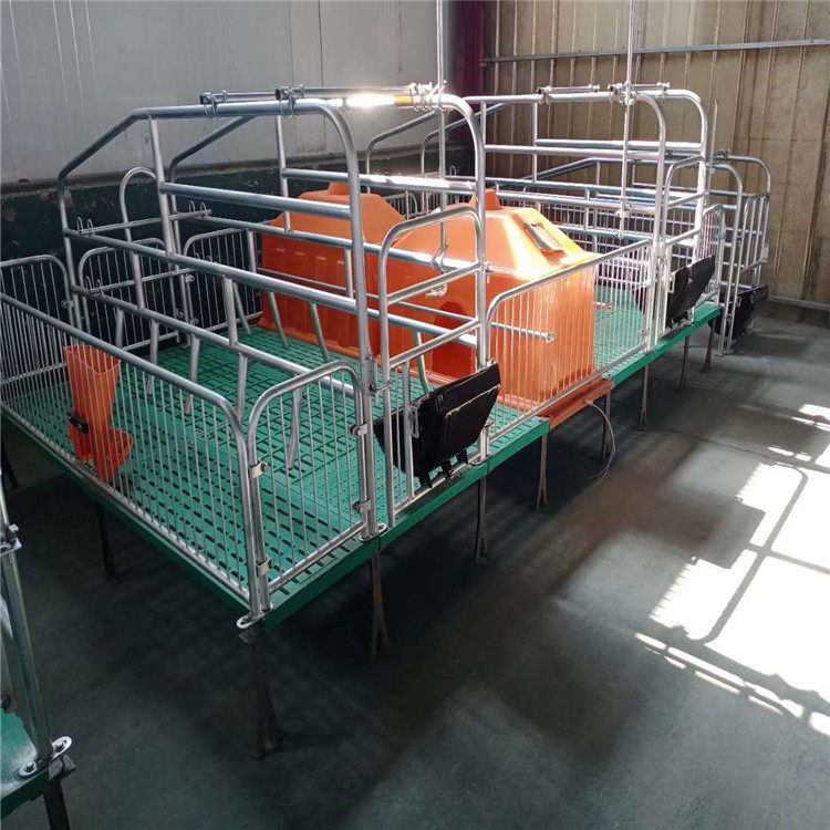 5母猪产床 产保一体 单体产床 双体产床 养殖设备