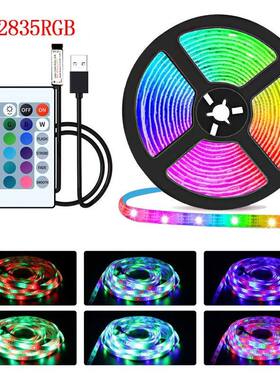 1M SMD 2835 USB LED Strip Lights 60LEDs/m RGB Tape With Remo
