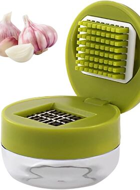 1 Manual Garlic Press & Mincer, Ginger Crusher, Kitchen Tool