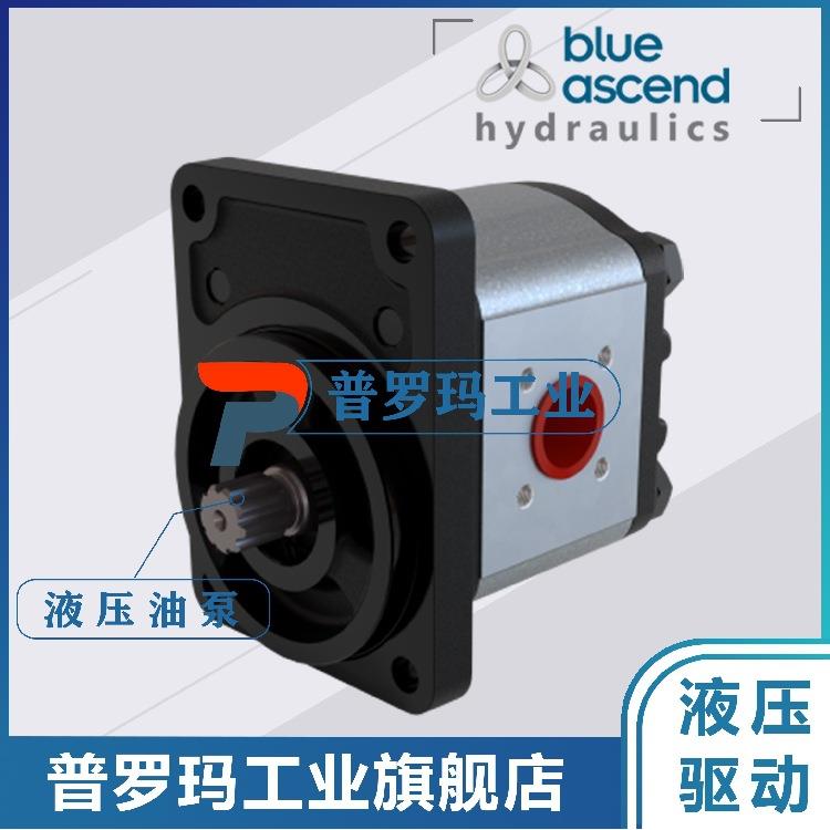 土耳其齿轮泵AP20.160/220/250/280/320/115.CGL01SN