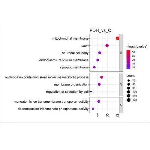 网络理学 网络毒理学 分子对接 中复方物靶点筛选 定制服务