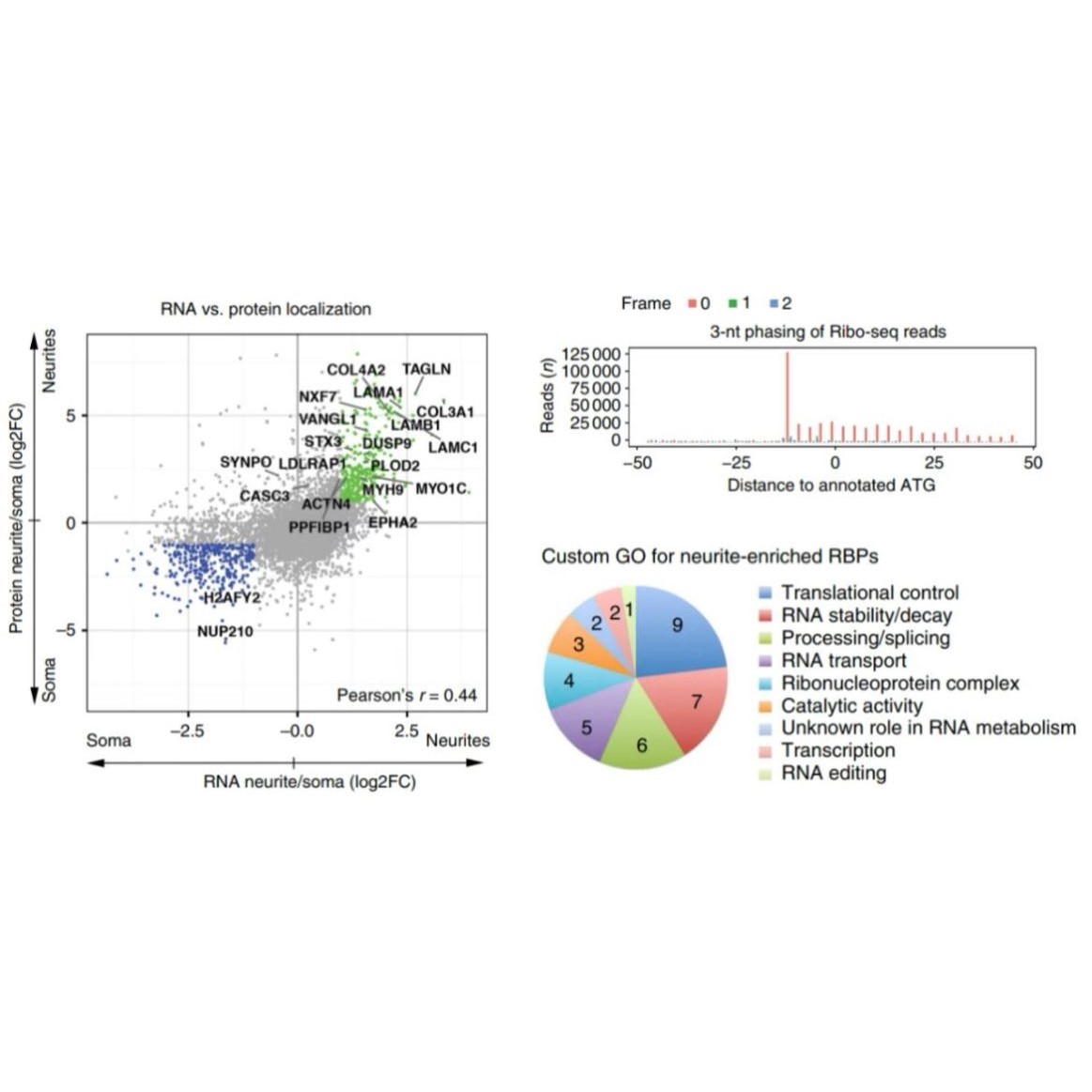 scRNA-seq 数据挖掘细胞聚类定制服务