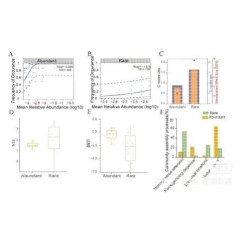 GBD数据分析NHANES代码单细胞测序TCGA指导生物转录组GEO生信分析