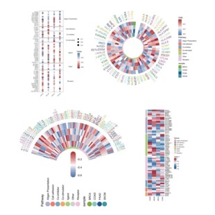 CLIP-seq互作 峰值分析 差异结合位点 筛选服务