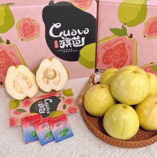 旗芭 展旗正宗广西奶油白心芭乐软糯白心番石榴树上熟软鸡屎果