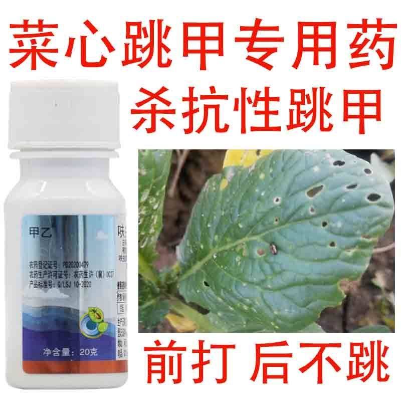 甲乙30%呋虫胺哒螨灵呋虫胺黄条跳甲狗虱子甘蓝跳甲农药杀虫剂