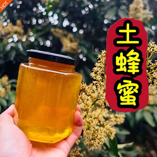 鸭脚木蜜农家自产荔枝龙眼蜜原生态土蜂蜜天然野生正宗原蜜零添加
