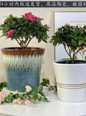 花盆陶瓷大号简约现代创意桌面阳台绿植种树发财树特价清仓送托盘
