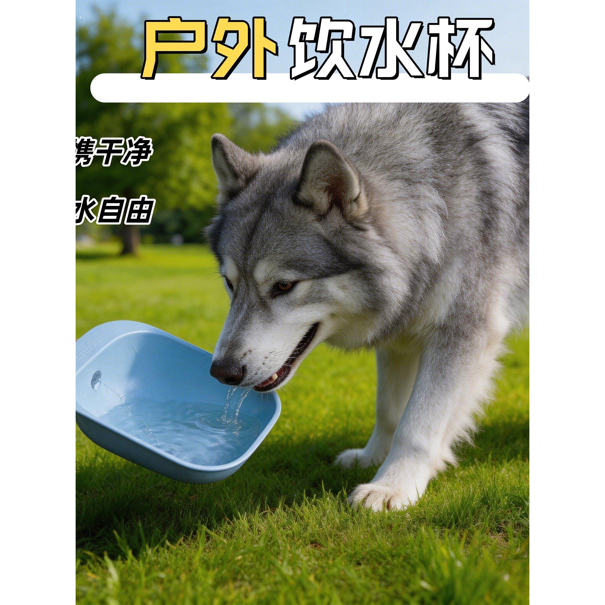 宠物猫狗随行水杯可携式水瓶水壶户外用品外出喂水喝水饮水器泰迪