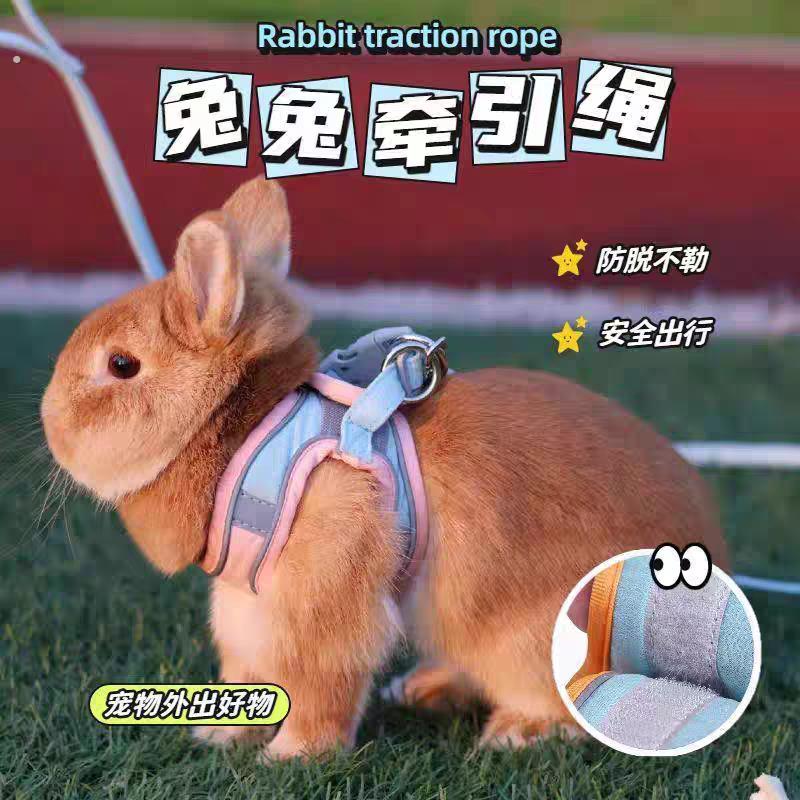 兔子牵引绳遛兔子专用防挣脱溜兔子兔绳子遛兔绳小侏儒兔用品防咬