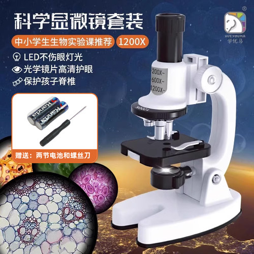 幼儿园大班科学探索区显微镜玩具