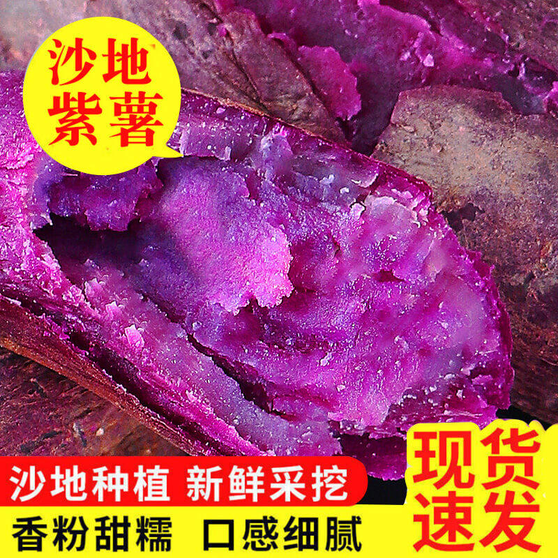 臻薯源紫薯新鲜板栗番薯地瓜蜜薯糖心小山芋烟薯农家自种沙地红薯