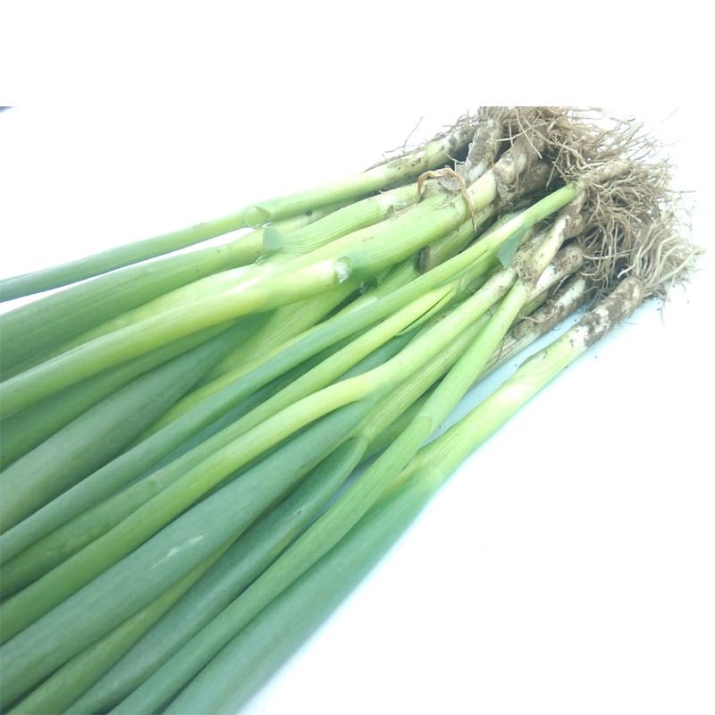 小葱 东北新鲜白露葱 发芽葱 蘸酱菜香葱 农家蔬菜 一份3斤