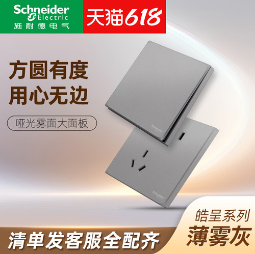 施耐德10A/16A灰色/白色/金色