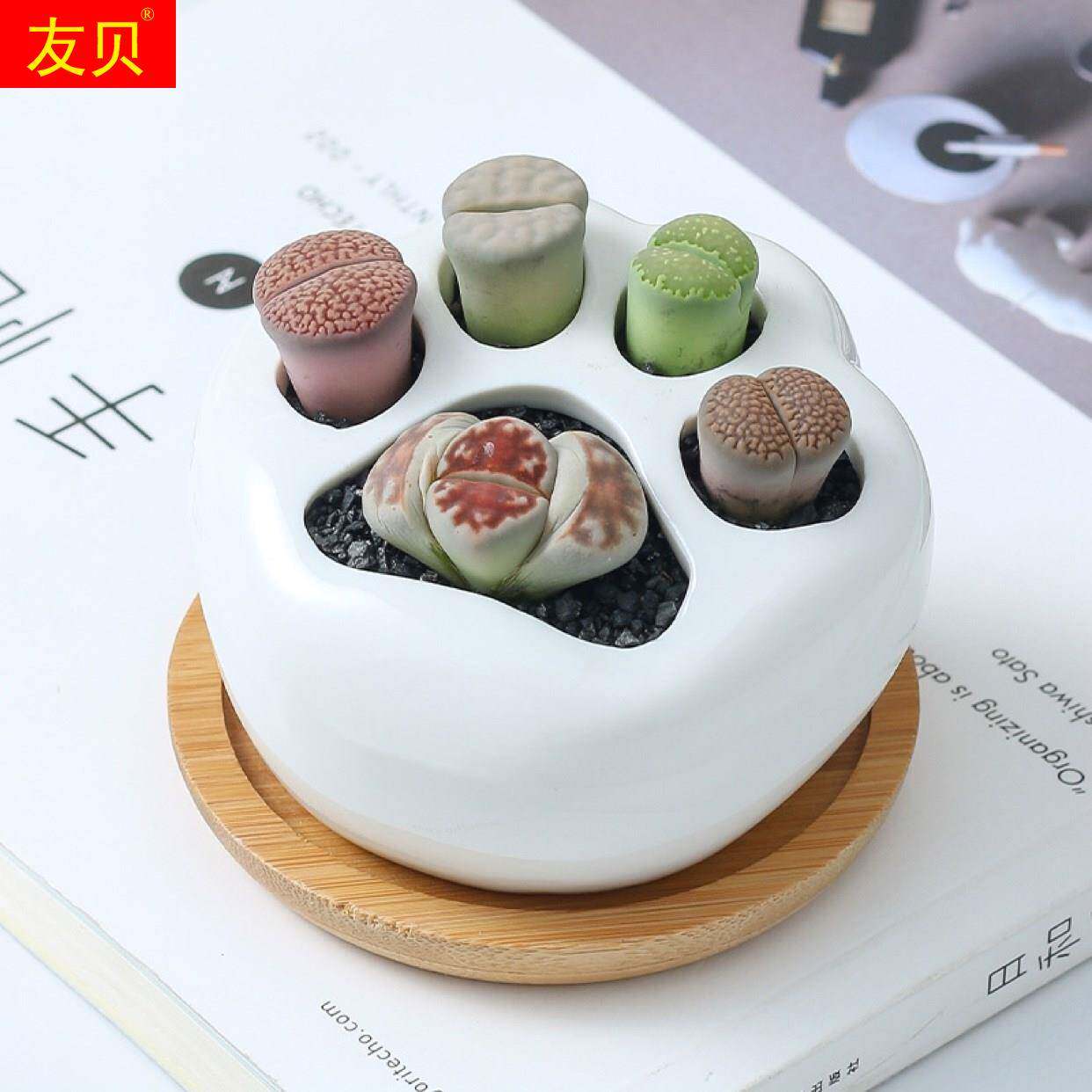 简约白色创意多肉植物陶瓷可爱小猫爪树梢竹架生石花屁屁盆栽花盆