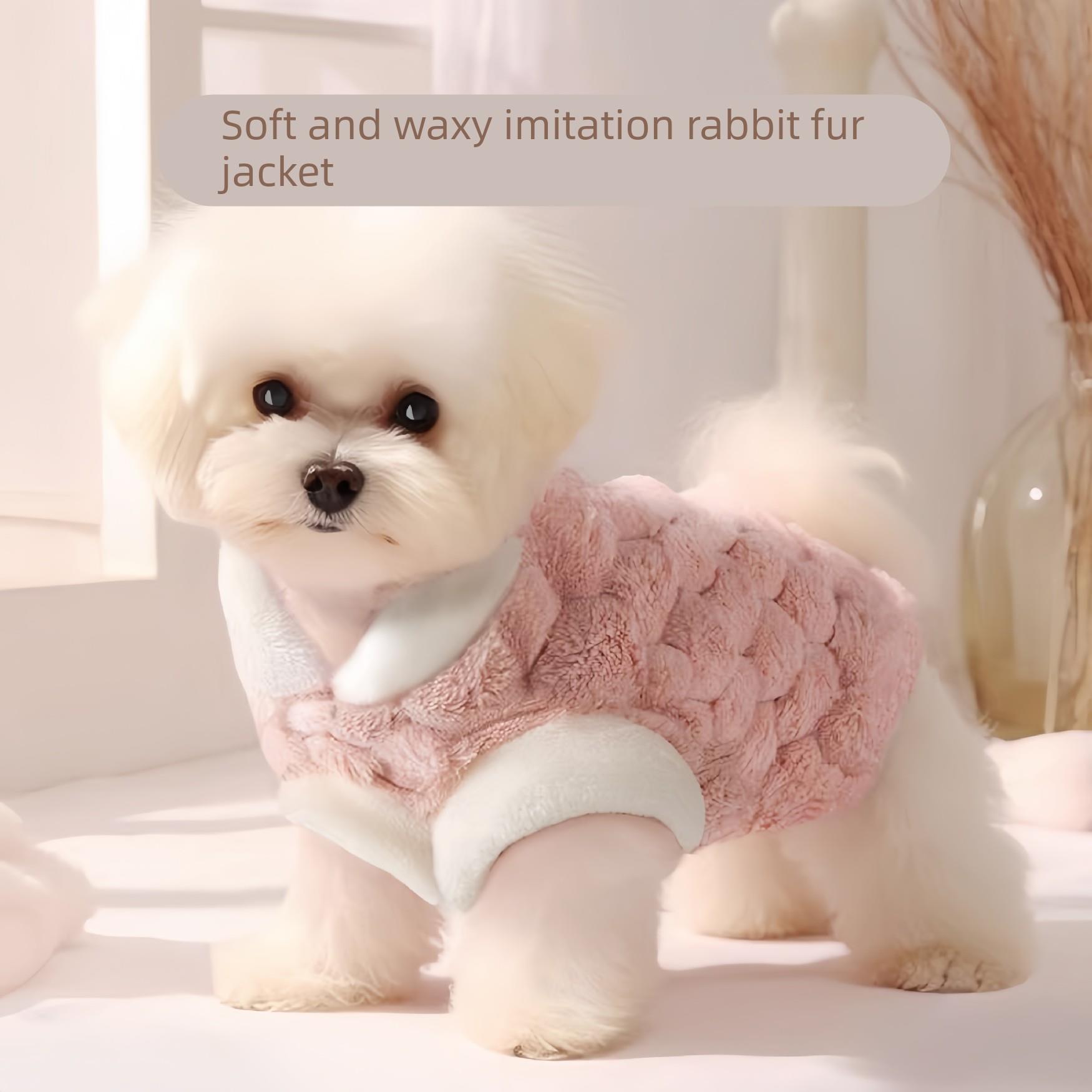 狗狗衣服秋冬款宠物泰迪中小型犬牵引环比熊四脚加厚马甲可爱猫咪