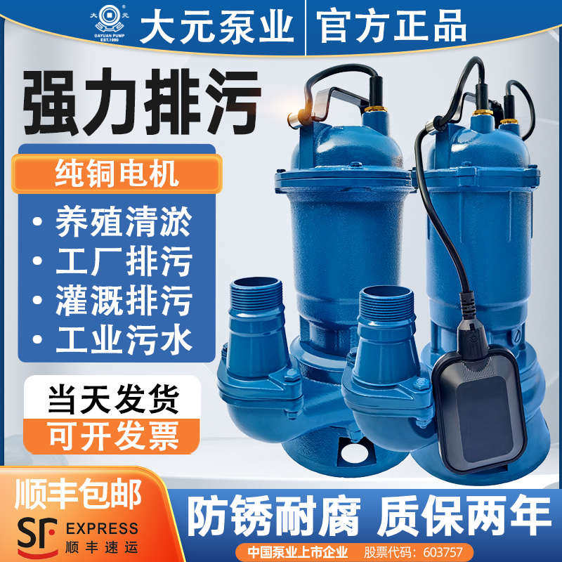 大元小型污水泵化粪池排污泵220V家用抽水机抽粪泵泥浆380V潜水泵
