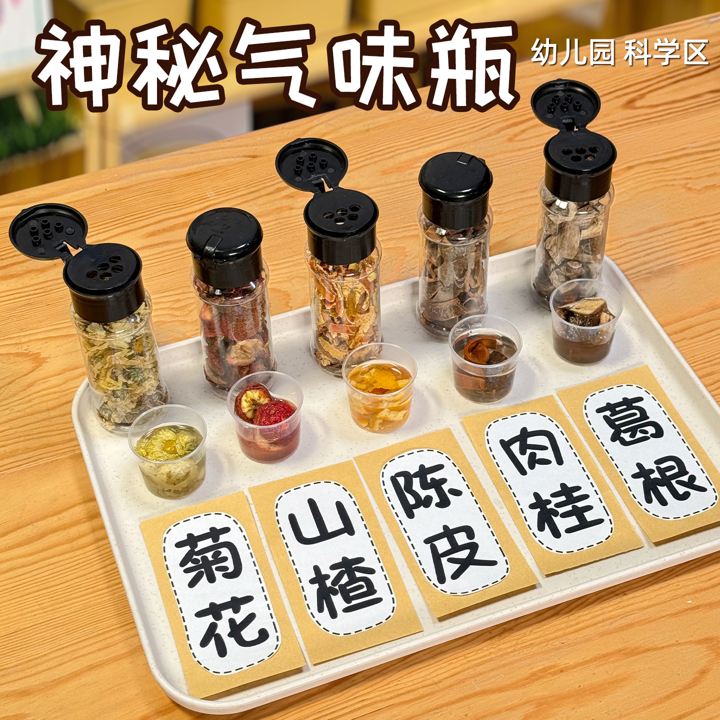 幼儿园科学区神秘气味瓶儿童探索实验教具中药材香料瓶手工创意