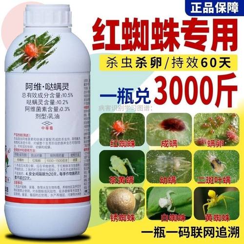红蜘蛛专用药杀卵杀虫剂阿维哒螨灵阿维菌素果树植物月季花卉农药