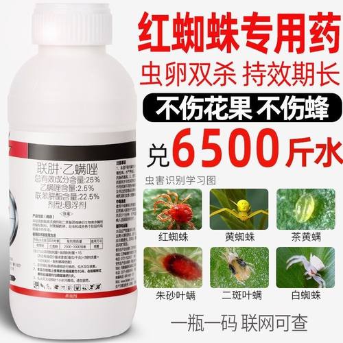 红蜘蛛专用药杀虫剂杀卵联肼乙螨唑联苯肼酯柑橘果树花农药杀螨剂