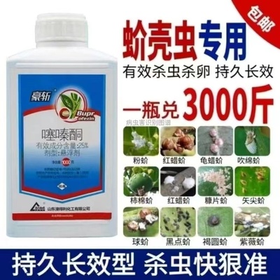 蚧壳虫专用药噻嗪酮果树多肉花卉月季介壳虫药专杀专用杀虫剂农药