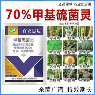 70%甲基硫菌灵甲托白粉病霜霉病赤霉病炭疽病灰霉病农药杀菌剂