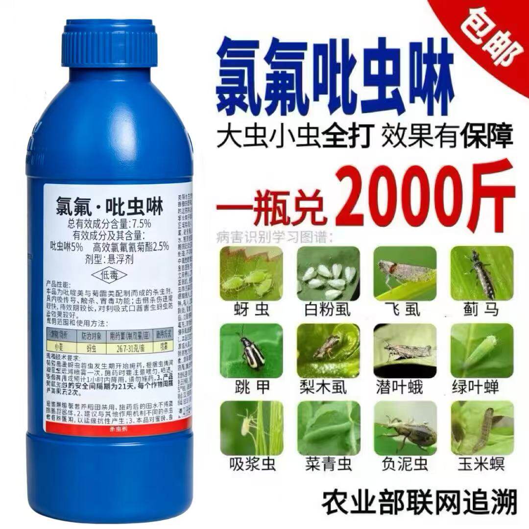 氯氟吡虫啉杀虫剂高效氯氟氰菊酯蚜虫蓟马果树植物花卉农药杀虫药