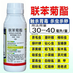 25聯苯菊酯蚜蟲薊馬紅蜘蛛潛葉蛾白粉虱茶尺蠖茶樹果樹花卉農藥