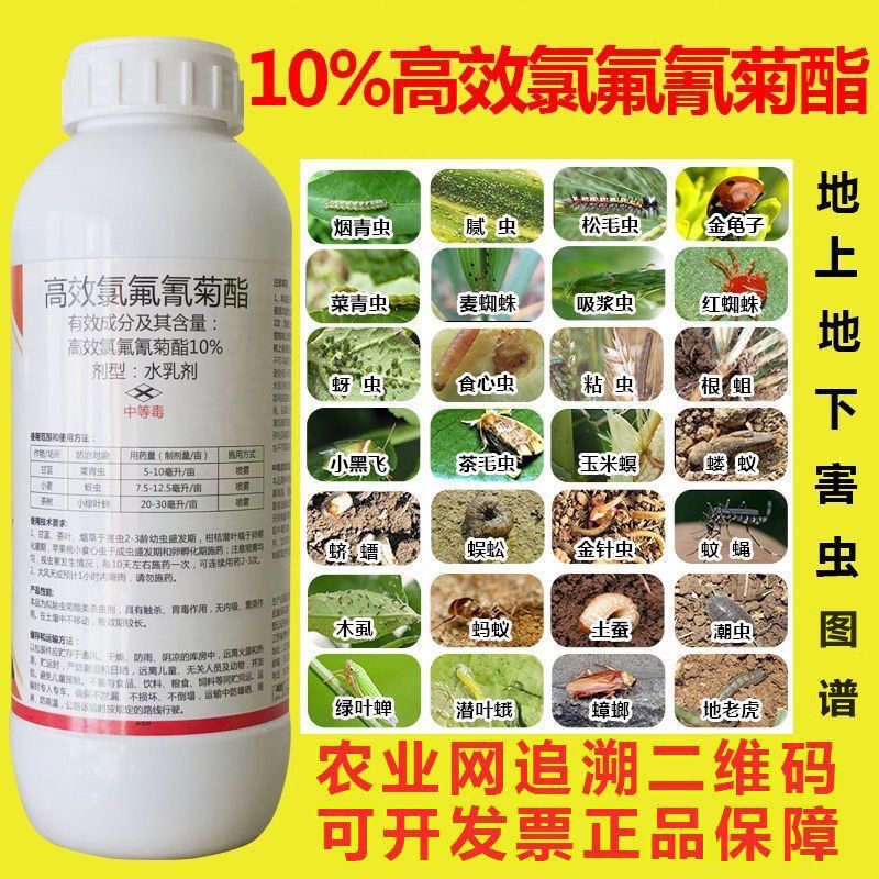 10高效氯氟氰菊酯农药杀虫剂果树蔬菜蚜虫钻心虫菜青虫地下杀虫药