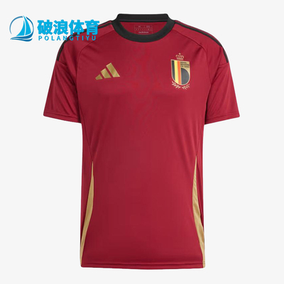 Adidas/阿迪达斯正品男士图案户外休闲套头短袖足球T恤IQ0771