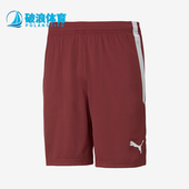 彪马正品 704924 新款 针织舒适透气运动训练短裤 男士 Puma